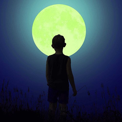Alone dp