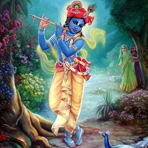 Krishna dp