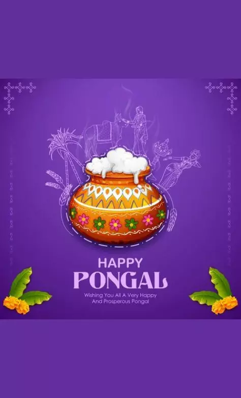 Pongal