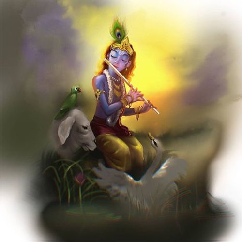 Shri Krishna Dp