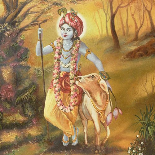 Shri Krishna Dp