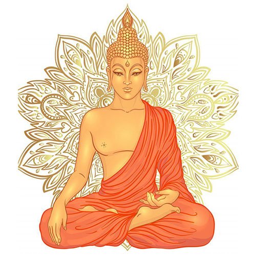 dp image