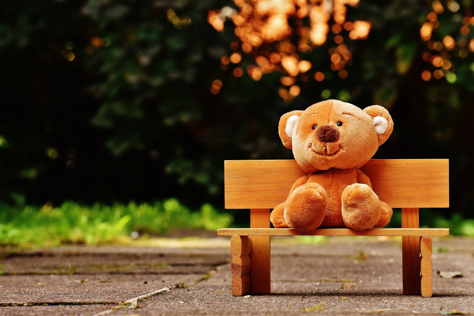 teddy bear Hd 4k desktop wallpaper photos