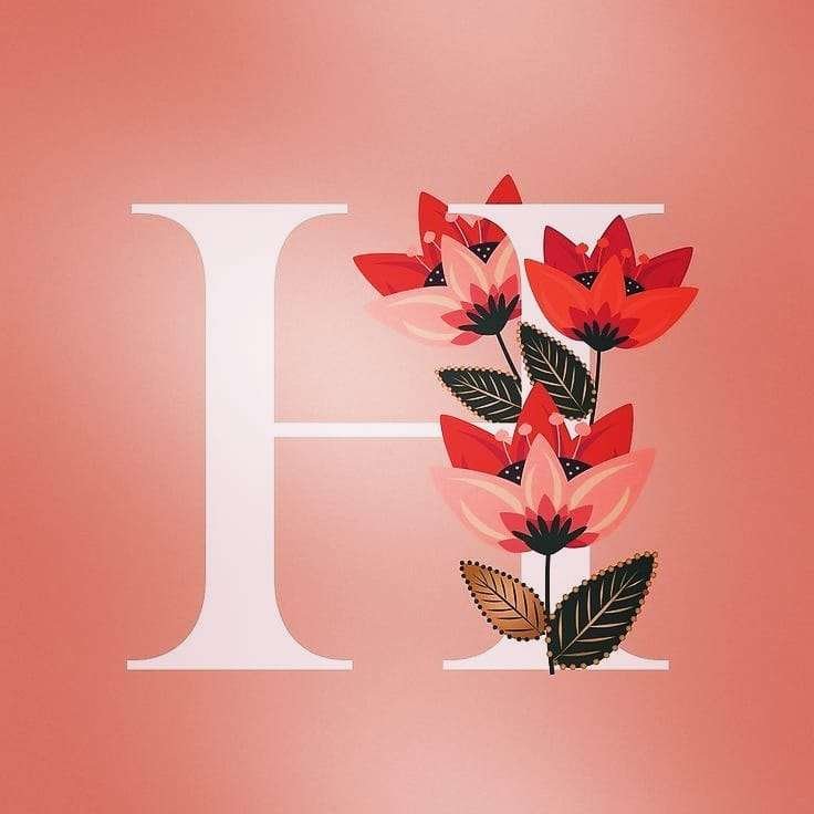 Beautiful H Letter Dp