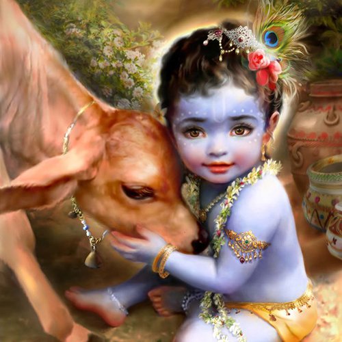 little krishna dp