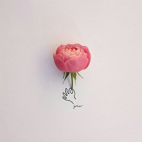 rose