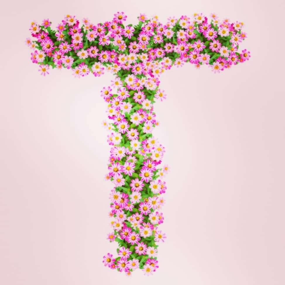 T Name Flower DP Image Download