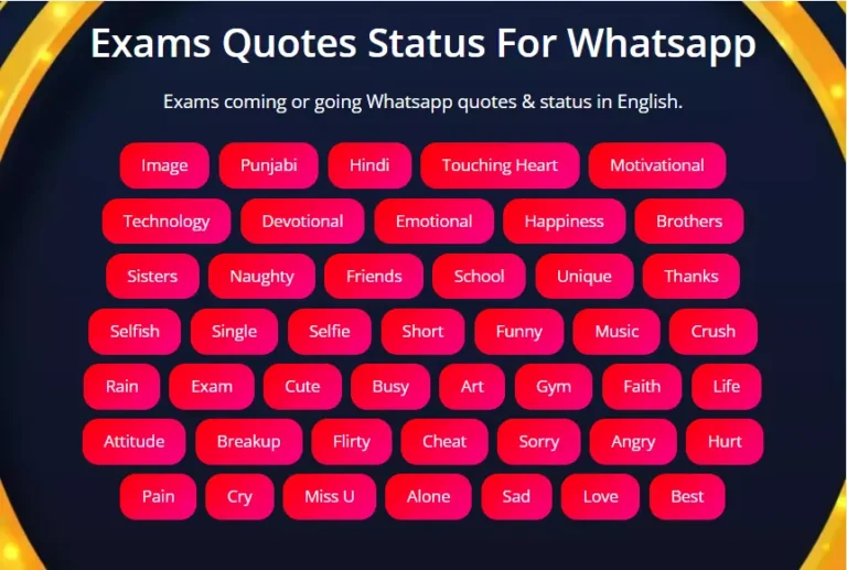 Best Exams Status in English